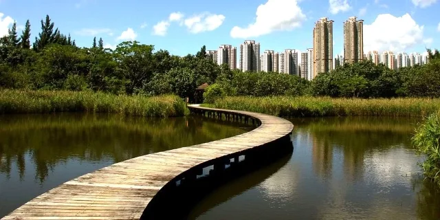 Best City Walks Hong Kong Wetland Park (Matthias Süßen)