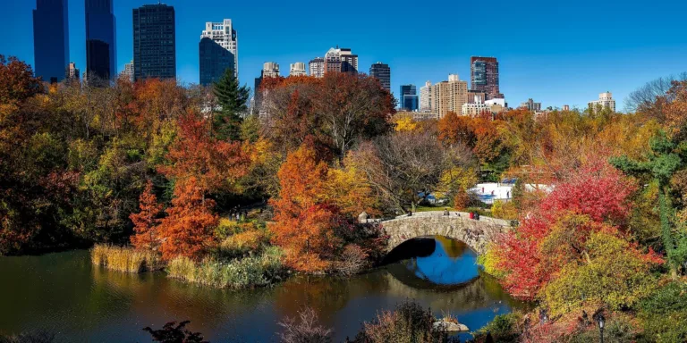 New York Nature Trails (Best City Walks)